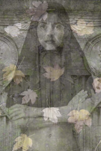 Niloufar'travels from 2015 to 2017