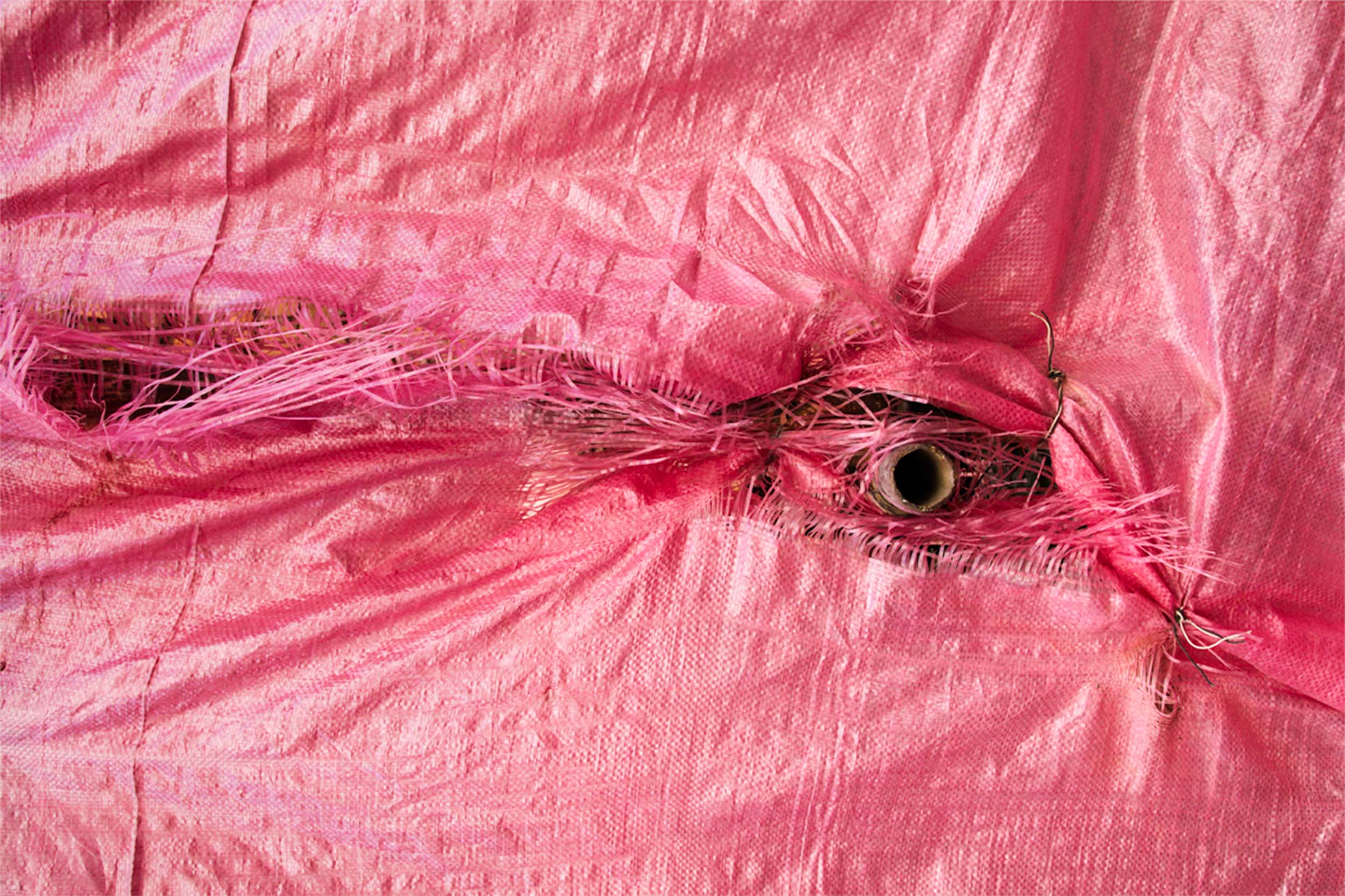 Under cover - Niloufar's work from 2007 to 2012